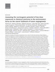 Research paper thumbnail of Assessing the carcinogenic potential of low-dose exposures to chemical mixtures in the environment: the challenge ahead