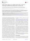 Research paper thumbnail of Draft genome sequence of calothrix strain 336/3, a novel h2-producing cyanobacterium isolated from a finnish lake