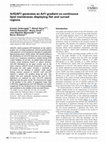 Research paper thumbnail of ArfGAP1 generates an Arf1 gradient on continuous lipid membranes displaying flat and curved regions