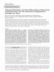 Research paper thumbnail of Widespread Distribution and Muscle Differentiation of Human Fetal Mesenchymal Stem Cells After Intrauterine Transplantation in Dystrophic mdx Mouse