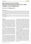 Research paper thumbnail of Southeast Asian anurans in focus: Species of the genus Huia (sensu lato) Yang, 1991 (Amphibia: Anura: Ranidae)