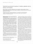 Research paper thumbnail of Epithelial-mesenchymal transition of tubular epithelial cells in human renal biopsies