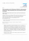 Research paper thumbnail of Macroautophagy and Cell Responses Related to Mitochondrial Dysfunction, Lipid Metabolism and Unconventional Secretion of Proteins