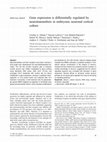 Research paper thumbnail of Gene expression is differentially regulated by neurotransmitters in embryonic neuronal cortical culture