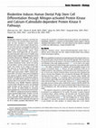 Research paper thumbnail of Biodentine Induces Human Dental Pulp Stem Cell Differentiation through Mitogen-activated Protein Kinase and Calcium-/Calmodulin-dependent Protein Kinase II Pathways