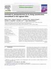 Research paper thumbnail of Extended H2 photoproduction by N2-fixing cyanobacteria immobilized in thin alginate films