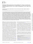 Research paper thumbnail of Hydrogen Photoproduction by Immobilized N2-Fixing Cyanobacteria: Understanding the Role of the Uptake Hydrogenase in the Long-Term Process