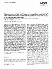 Research paper thumbnail of Characterization of the ntrBC genes of Azospirillam brasilense Sp7: Their involvement in the regulation of nitrogenase synthesis and activity