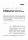 Research paper thumbnail of Micropropagation Systems of Feijoa (Acca sellowiana (O. Berg) Burret)