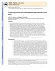 Research paper thumbnail of Cellular mechanisms of estradiol-mediated masculinization of the brain