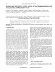 Research paper thumbnail of Synthesis and Anti-HSV-1 In Vitro Activity of New Phosphoramidates with 4-oxoquinoline and Phtalimidic Nuclei