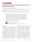 Research paper thumbnail of Role of DNA-dependent protein kinase catalytic subunit in cancer development and treatment