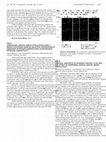 Research paper thumbnail of 1012 CORTICAL SUBSTRATE OF BLADDER CONTROL IN SCI AND THE EFFECT OF PERIPHERAL DORSAL GENITAL NERVE STIMULATION