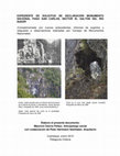 Research paper thumbnail of EXPEDIENTE DE SOLICITUD DE DECLARACIÓN MONUMENTO NACIONAL PASO SAN CARLOS, SECTOR EL SALTÓN DEL RÍO BAKER