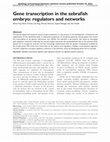 Research paper thumbnail of Gene transcription in the zebrafish embryo: regulators and networks