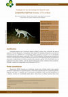 Research paper thumbnail of Avaliação do risco de extinção do gato-do-mato Leopardus tigrinus no Brasil