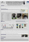 Research paper thumbnail of THE IMPORTANCE OF THE UNDERGROUND GALLERIES OF HYDROELECTRIC PLANTS IN BATS CONSERVATION. SELECTION AND USE OF SHELTERS FOR BAT POPULATIONS