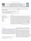 Research paper thumbnail of Carbon cycling in the Pliocene Velenje Coal Basin, Slovenia, inferred from stable carbon isotopes