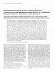 Research paper thumbnail of Discrimination of cruzipain, the major cysteine proteinase of Trypanosoma cruzi , and mammalian cathepsins B and L, by a pH-inducible fluorogenic substrate of trypanosomal cysteine proteinases