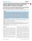 Research paper thumbnail of A Natural Bacterial-Derived Product, the Metalloprotease Arazyme, Inhibits Metastatic Murine Melanoma by Inducing MMP-8 Cross-Reactive Antibodies