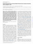 Research paper thumbnail of Anxiety Dissociates Dorsal and Ventral Medial Prefrontal Cortex Functional Connectivity with the Amygdala at Rest