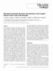 Research paper thumbnail of Microbial Community Structure and Dynamics in the Largest Natural French Lake (Lake Bourget)