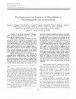 Research paper thumbnail of Identification and characterisation of micrornas involved in chondrocyte differentiation and osteoarthritis