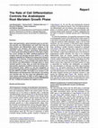 Research paper thumbnail of The Rate of Cell Differentiation Controls the Arabidopsis Root Meristem Growth Phase