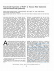 Research paper thumbnail of Functional Expression of AQP3 in Human Skin Epidermis and Reconstructed Epidermis