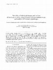 Research paper thumbnail of Variability of individual biomass and leaf size of Saxifraga nivalis L. along transect between seabirds colony and seashore in Hornsund, Spitsbergen