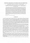 Research paper thumbnail of Classification scheme of pure multipartite states based on topological phases