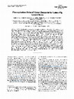 Research paper thumbnail of Fluoroquinolone-Induced Motor Changes in the Guinea-Pig Isolated Ileum