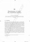 Research paper thumbnail of Photochemistry of Azides: The Azide/Nitrene Interface