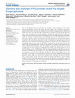 Research paper thumbnail of Genome size analyses of Pucciniales reveal the largest fungal genomes