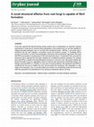 Research paper thumbnail of A novel structural effector from rust fungi is capable of fibril formation