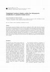 Research paper thumbnail of Morphological Variation in Daphnia Cucullata Sars with Progressive Eutrophication of a Polymictic Lowland Reservoir