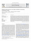 Research paper thumbnail of Sediment transfer processes in two Alpine catchments of contrasting morphological settings