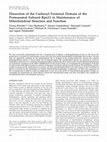 Research paper thumbnail of Dissection of the Carboxyl-Terminal Domain of the Proteasomal Subunit Rpn11 in Maintenance of Mitochondrial Structure and Function