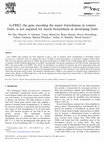 Research paper thumbnail of LeFRK2, the gene encoding the major fructokinase in tomato fruits, is not required for starch biosynthesis in developing fruits