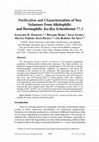 Research paper thumbnail of Purification and Characterization of Two Xylanases From Alkalophilic and Thermophilic Bacillus licheniformis 77-2