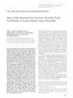 Research paper thumbnail of Stem Cells Derived from Human Amniotic Fluid Contribute to Acute Kidney Injury Recovery