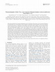 Research paper thumbnail of Palynostratigraphy of John's Nose, a new Cretaceous–Paleogene boundary section in southwestern North Dakota, USA