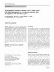 Research paper thumbnail of Transcriptional changes in human Caco-2 colon cancer cells following exposure to a recurrent non-toxic dose of polyphenol-rich chokeberry juice