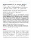 Research paper thumbnail of Morphological basis for the spectrum of clinical deficits in spinocerebellar ataxia 17 (SCA17)