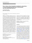 Research paper thumbnail of Direct evidence of inter-hemispheric modulation by callosal fibers: a cortical spreading depression study in well-nourished and early-malnourished adult rats