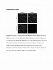 Research paper thumbnail of Nature Comm 2015 Supplement