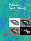 Research paper thumbnail of Optimization of pathogenicity assays to study the Arabidopsis thaliana - Xanthomonas campestris pv. campestris pathosystem