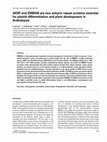 Research paper thumbnail of AKRP and EMB506 are two ankyrin repeat proteins essential for plastid differentiation and plant development in Arabidopsis