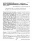 Research paper thumbnail of Mitogen-activated Protein Kinases Play an Essential Role in Oxidative Burst-independent Expression of Pathogenesis-related Genes in Parsley