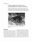 Research paper thumbnail of Ocelot ecology and its effect on the small-felid guild in the lowland neotropics